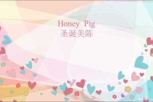 购物中心“Honey Pig”卡通IP圣诞商业美陈设计方案（PPT）