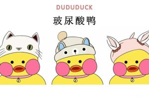 玻尿酸鸭卡通IP品牌介绍（PPT）