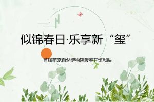 2018春季萌宠&百鸟展地产签约活动策划方案（PPT）