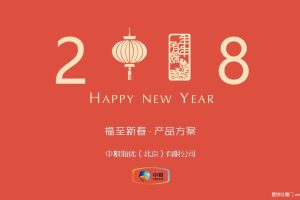 中粮海优2018春节促销产品方案（PPT）