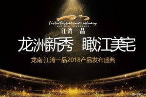 龙南·江湾一品2018产品发布会盛典活动方案（PPT）