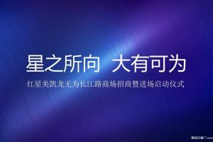红星美凯龙无为长江路商场2018招商暨进场启动仪式策划方案（PPT）