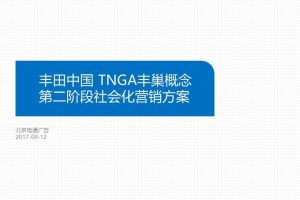 丰田中国TNGA丰巢概念2017第二阶段社会化营销方案（PPT）