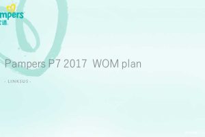 Pampers帮宝适2017社会化口碑营销方案（PPT）
