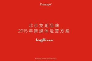 北京龙湖品牌2015新媒体数字传播方案（PDF）