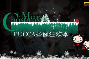 PUCCA圣诞狂欢季IP活动合作方案（PDF）