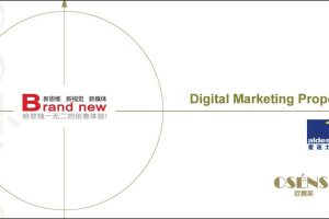 Aldes爱迪士数字营销策略方案（PDF）