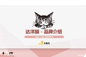 达洋猫卡通IP品牌介绍（PDF）