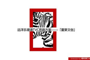 远洋·乐堤港TVC创意思路方案（PDF）