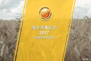 维多麦2017数字营销方案 媒体&预算部分（PDF）