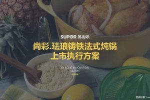 苏泊尔珐琅铸铁炖锅2016上市产品海报及视频拍摄执行方案（PDF）