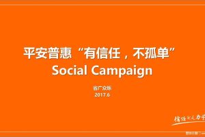 平安普惠2017社会化传播方案（PDF）
