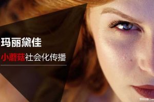 玛丽黛佳小蘑菇气垫2017社会化传播方案（PDF）