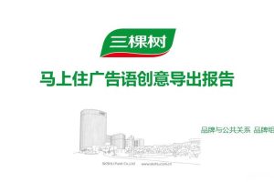 三棵树马上住广告语创意导出报告（PPT）