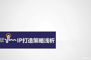 IP打造策略浅析（PPT）