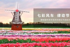 碧桂园·中央半岛2018风车音乐节活动方案（PPT）