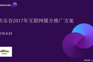 欢乐谷2017年互联网媒介推广方案（PPT）