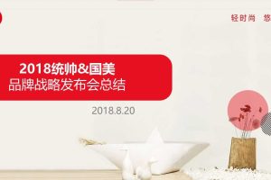 统帅电器&国美2018品牌战略合作发布会活动总结（PPT）