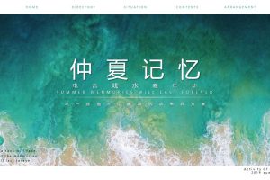 地产项目2019仲夏记忆电音戏水嘉年华活动策划方案（PPT）