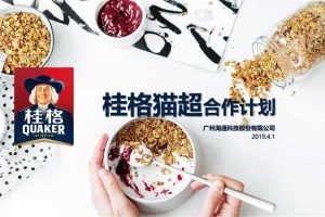 桂格x天猫超市2019合作方案（PPT）