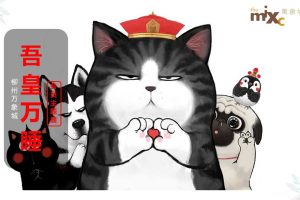 柳州万象城2019吾皇万睡IP主题展活动方案（PPT）