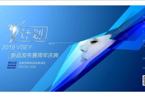 美容品牌VSEY2019新品发布会暨周年庆活动方案（PPT）