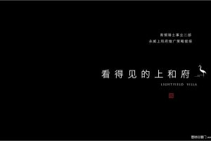 永威上和府2019推广策略提报（PPT）