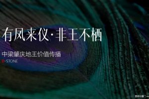 中梁肇庆地王-中梁壹号院2019价值传播策略方案（PPT）