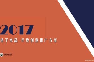 桔子水晶酒店2017年度创意推广方案（PDF）