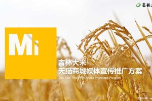 吉林大米天猫商城宣传推广项目方案（PDF）