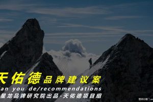 天佑德酒品牌建设建议方案（PDF）