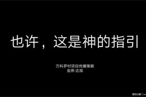 万科罗村项目2019推广策略方案（PDF）