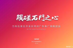 万科新都会2019广告推广策略方案（PDF）