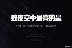 万科星空LOFT公寓2019企划推广策略方案（PDF）