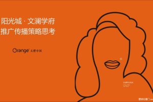 阳光城广东地王文澜学府2019传播推广方案（PDF）