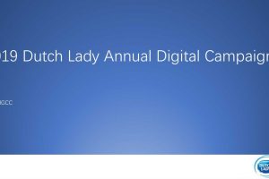 Dutch Lady 子母奶粉2019年度数字营销方案（PDF）