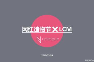 LCM置汇旭辉广场2019网红造物主线上PK+线下快闪店SHOW方案（PDF）