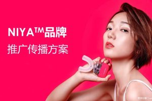 NIYA妮娅电动牙刷2019推广传播方案（PDF）