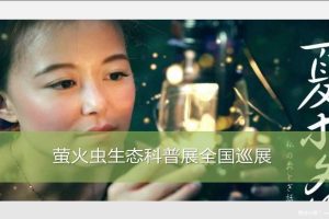 2019萤火虫生态科普展活动方案（PPT）