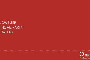 百威啤酒轰趴派对消费场景2019推广策略方案（PPT）