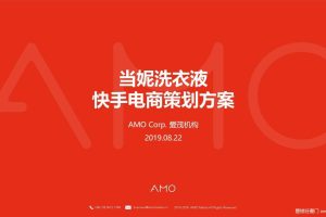 当妮洗衣液2019快手电商策划方案（PPT）