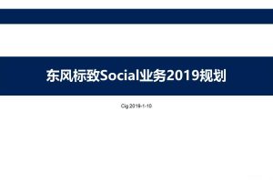 东风标致2019social业务运营规划方案（PPT）