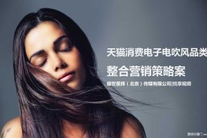 天猫消费电子电吹风品类日整合营销策略方案（PDF）
