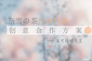 奈雪的茶中秋月饼创意合作方案（PDF）