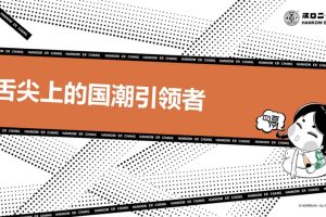 汉口二厂汽水品牌手册-舌尖上的国潮引领者（PDF）