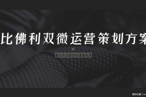 比佛利洗衣机2019双微运营策划方案（PDF）