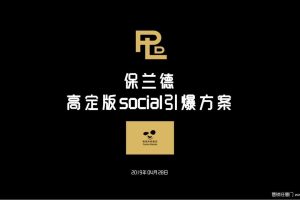 保兰德高定版2019social引爆方案（PDF）