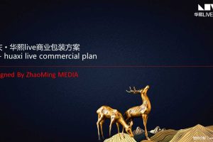 重庆·华熙live商业包装方案（PPT）