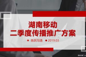 中国移动（湖南）2019年二季度传播方案（PPT）
