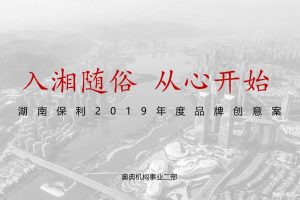 湖南保利2019年度品牌推广创意提案（PPT）